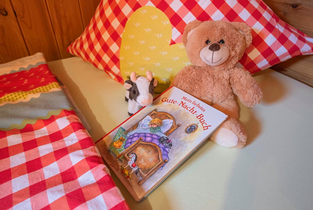 Gute Nacht Buch